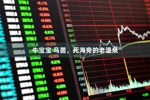 牛宝宝 马茵，死海旁的老温泉