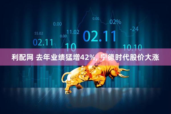 利配网 去年业绩猛增42%, 宁德时代股价大涨