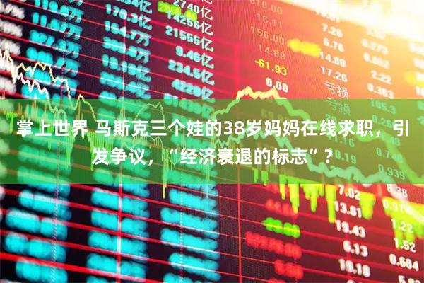 掌上世界 马斯克三个娃的38岁妈妈在线求职，引发争议，“经济衰退的标志”？
