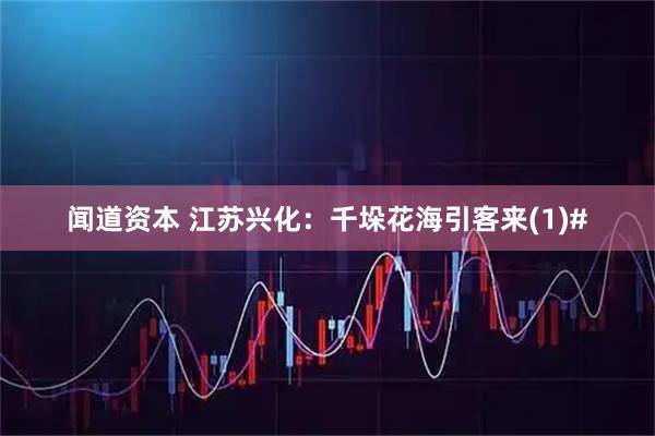 闻道资本 江苏兴化：千垛花海引客来(1)#