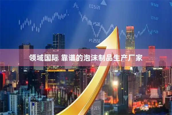 领域国际 靠谱的泡沫制品生产厂家