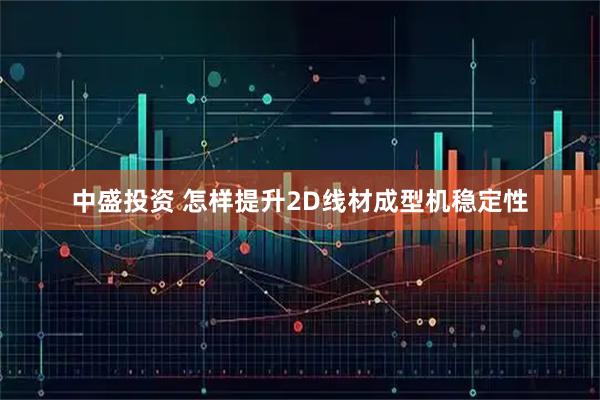 中盛投资 怎样提升2D线材成型机稳定性