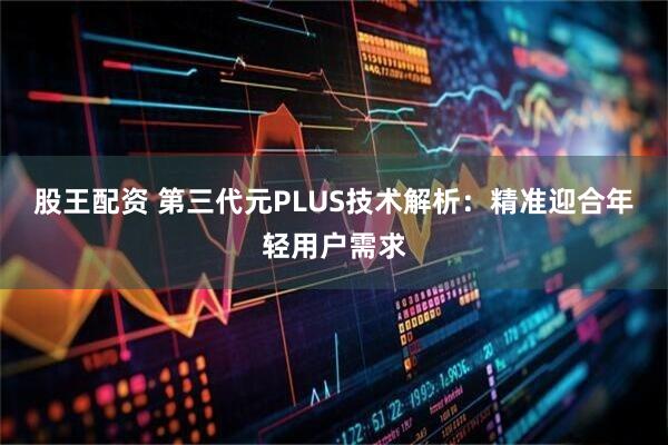 股王配资 第三代元PLUS技术解析：精准迎合年轻用户需求