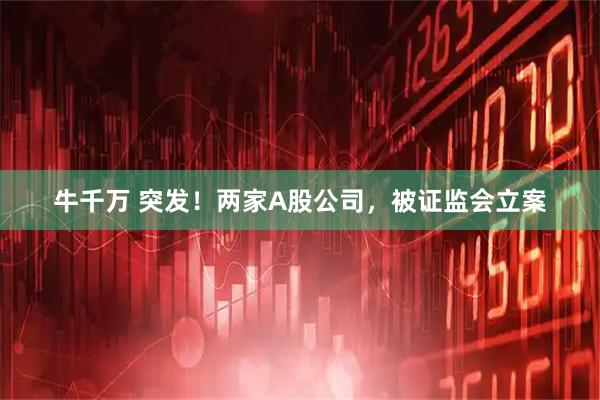 牛千万 突发！两家A股公司，被证监会立案
