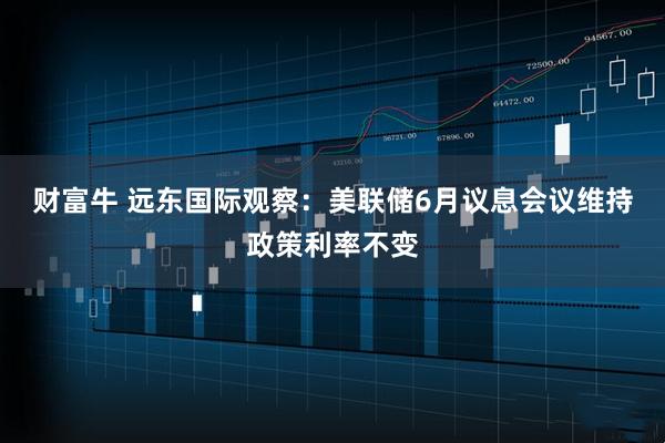 财富牛 远东国际观察：美联储6月议息会议维持政策利率不变