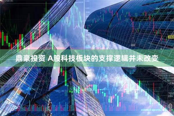鼎豪投资 A股科技板块的支撑逻辑并未改变