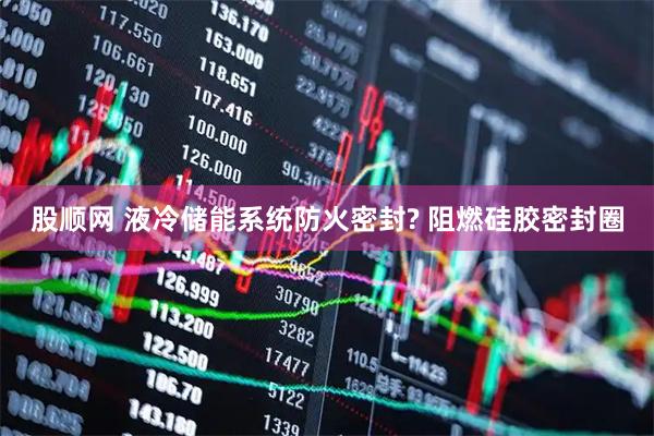 股顺网 液冷储能系统防火密封? 阻燃硅胶密封圈