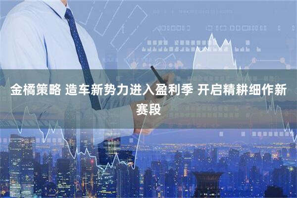 金橘策略 造车新势力进入盈利季 开启精耕细作新赛段