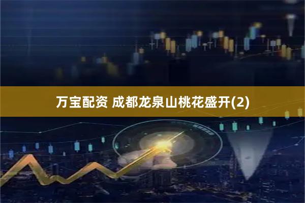 万宝配资 成都龙泉山桃花盛开(2)