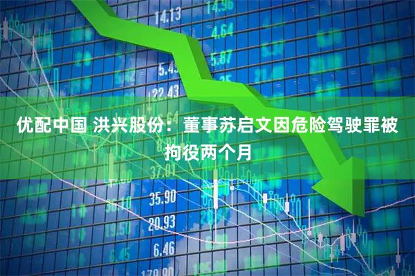 优配中国 洪兴股份：董事苏启文因危险驾驶罪被拘役两个月
