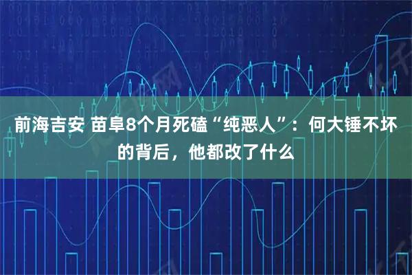 前海吉安 苗阜8个月死磕“纯恶人”：何大锤不坏的背后，他都改了什么