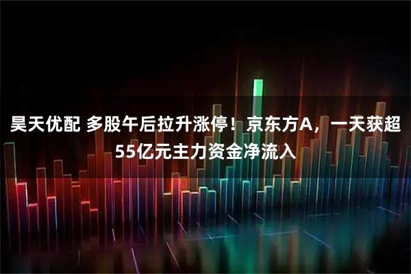 昊天优配 多股午后拉升涨停！京东方A，一天获超55亿元主力资金净流入