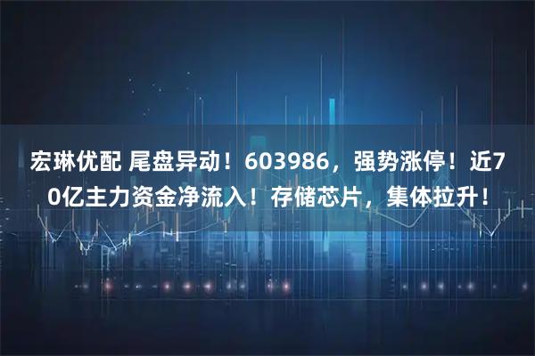 宏琳优配 尾盘异动！603986，强势涨停！近70亿主力资金净流入！存储芯片，集体拉升！