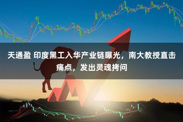 天通盈 印度黑工入华产业链曝光，南大教授直击痛点，发出灵魂拷问