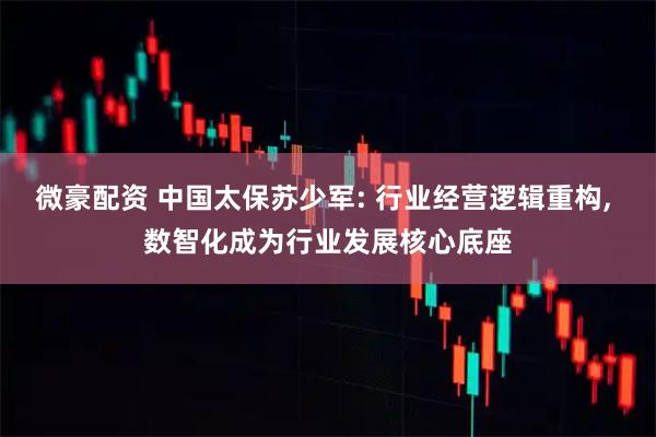 微豪配资 中国太保苏少军: 行业经营逻辑重构, 数智化成为行业发展核心底座