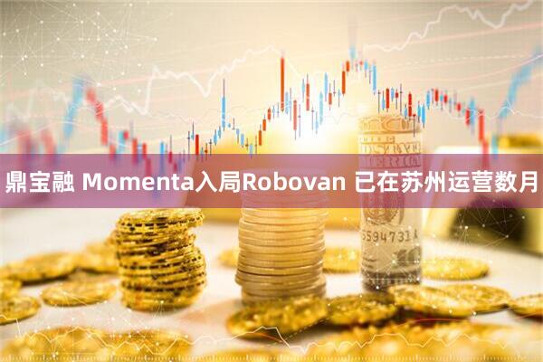 鼎宝融 Momenta入局Robovan 已在苏州运营数月
